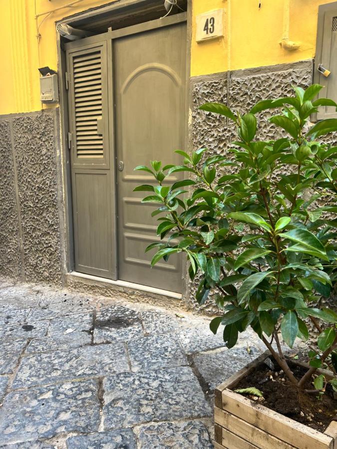 Casa Vacanza Rosa Napoli Dış mekan fotoğraf