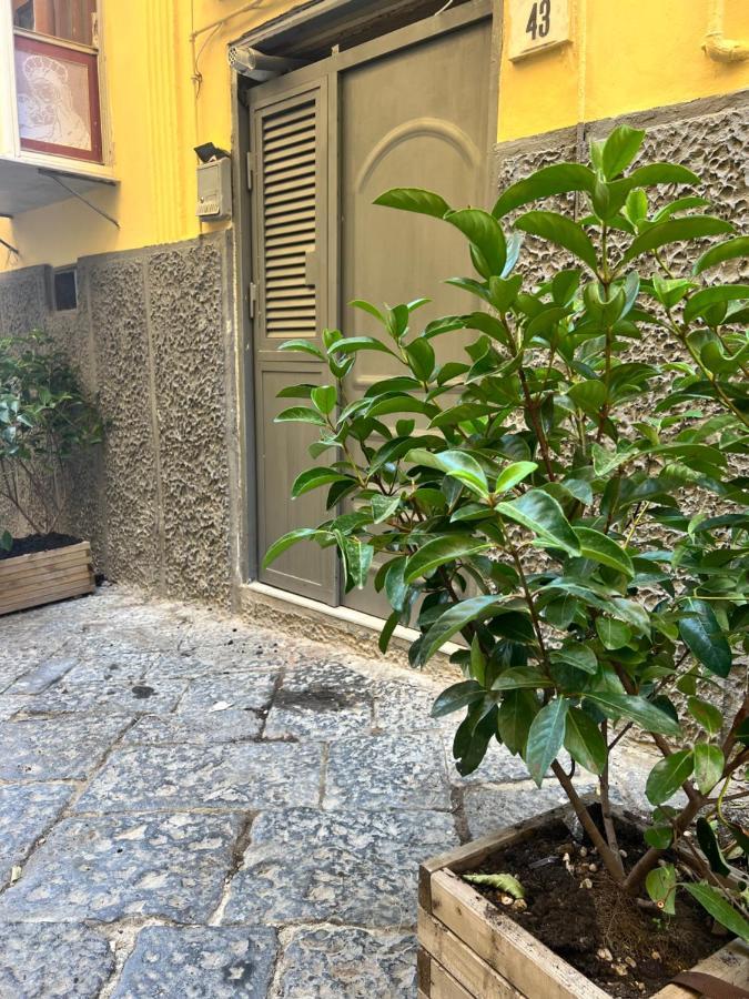 Casa Vacanza Rosa Napoli Dış mekan fotoğraf